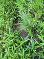 0000 118th Street - Photo 7