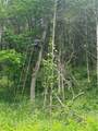  1100 Road - Photo 7