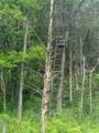  1100 Road - Photo 9