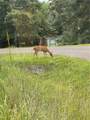  Lot 643 Lake Viking Terrace - Photo 12