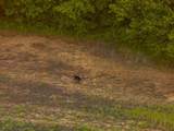 40801 Route B Road - Photo 13