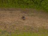 40801 Route B Road - Photo 15