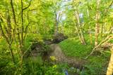 40801 Route B Road - Photo 40