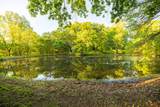 40801 Route B Road - Photo 43