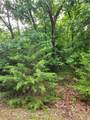 35 Mystic Valley Drive - Photo 8