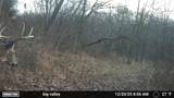  Maddux Road - Photo 11