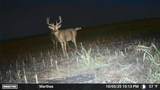  Maddux Road - Photo 9