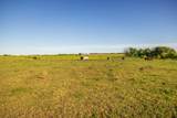 0000 1101st Road - Photo 35