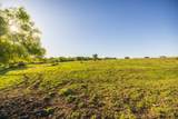 0000 1101st Road - Photo 44
