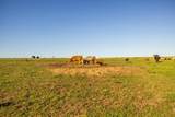 0000 1101st Road - Photo 46