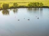 0000 1101st Road - Photo 10
