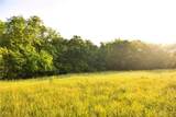  Wilderness Camp Road - Photo 44