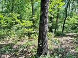 TBD1 1550 Road - Photo 12
