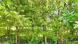 1 Shady Hollow Drive - Photo 4