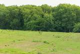 0000 Little Platte Road - Photo 33