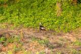 0000 Little Platte Road - Photo 41