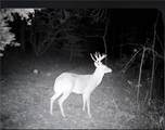  Metcalf Rd Road - Photo 14