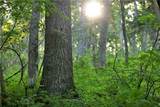  Se 321st Road - Photo 42
