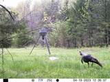  Se 321st Road - Photo 58