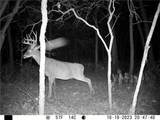  Se 321st Road - Photo 59