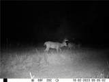  Se 321st Road - Photo 72