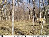  Se 321st Road - Photo 73
