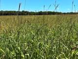 TBD 363 Road - Photo 11