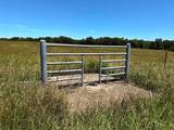 TBD 363 Road - Photo 13