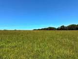 TBD 363 Road - Photo 19