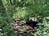 TBD 363 Road - Photo 29