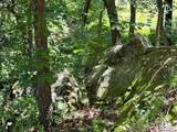 TBD 363 Road - Photo 39