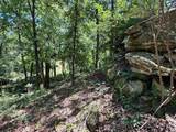 TBD 363 Road - Photo 41