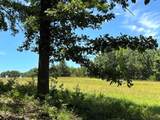 TBD 363 Road - Photo 43