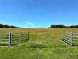 TBD 363 Road - Photo 6