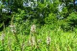 5760 871 Private Road Road - Photo 43