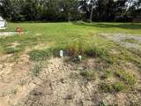1514 Catalina Street - Photo 9