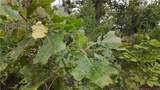942 1125 Private Road - Photo 15