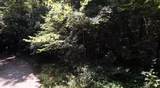 53,57,61 & 65 Locust Drive - Photo 4