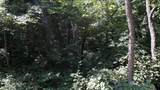 53,57,61 & 65 Locust Drive - Photo 5