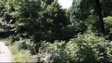 53,57,61 & 65 Locust Drive - Photo 7