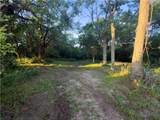  E 192nd Street - Photo 18