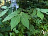  E 192nd Street - Photo 21