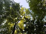  E 192nd Street - Photo 23
