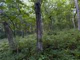  E 192nd Street - Photo 42