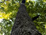  E 192nd Street - Photo 43