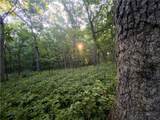  E 192nd Street - Photo 44
