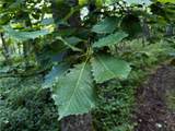  E 192nd Street - Photo 47