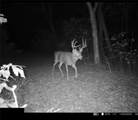  E 192nd Street - Photo 55