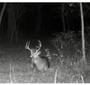  E 192nd Street - Photo 56