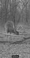  E 192nd Street - Photo 61